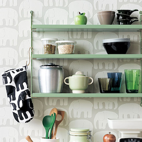 cat-31 sangetsu elephant