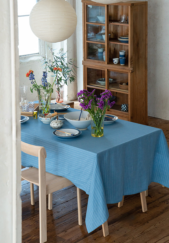 cat-71-NOMAD-stilleben-5