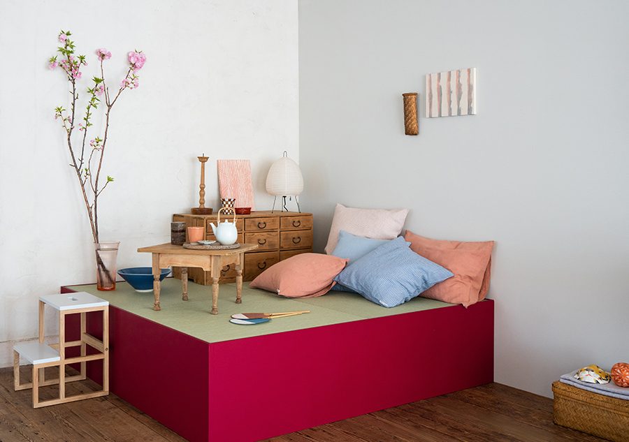 cat-71-NOMAD-stilleben-1